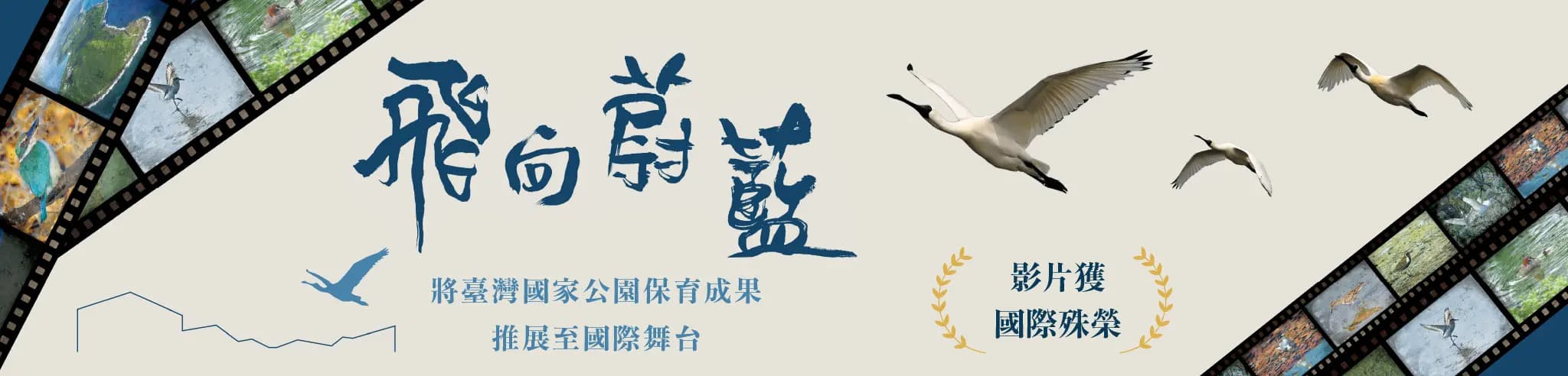 「飛向蔚藍」影片 獲國際殊榮 將臺灣國家公園保育成果 推展至國際舞台